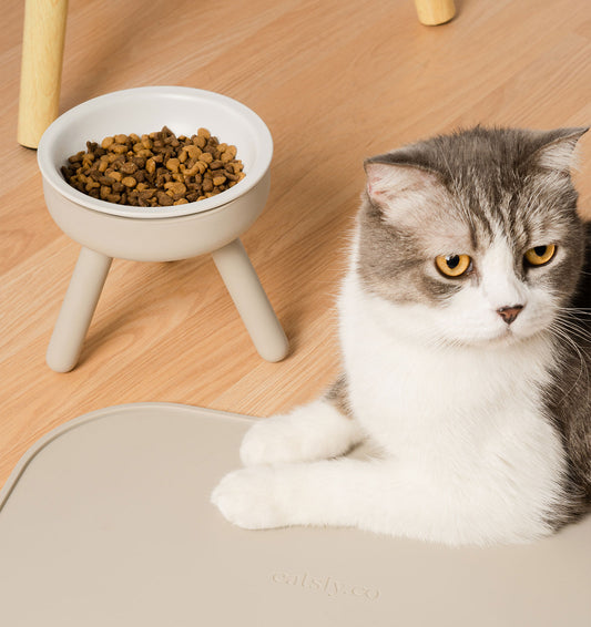 fat cat with elevated cat feeder