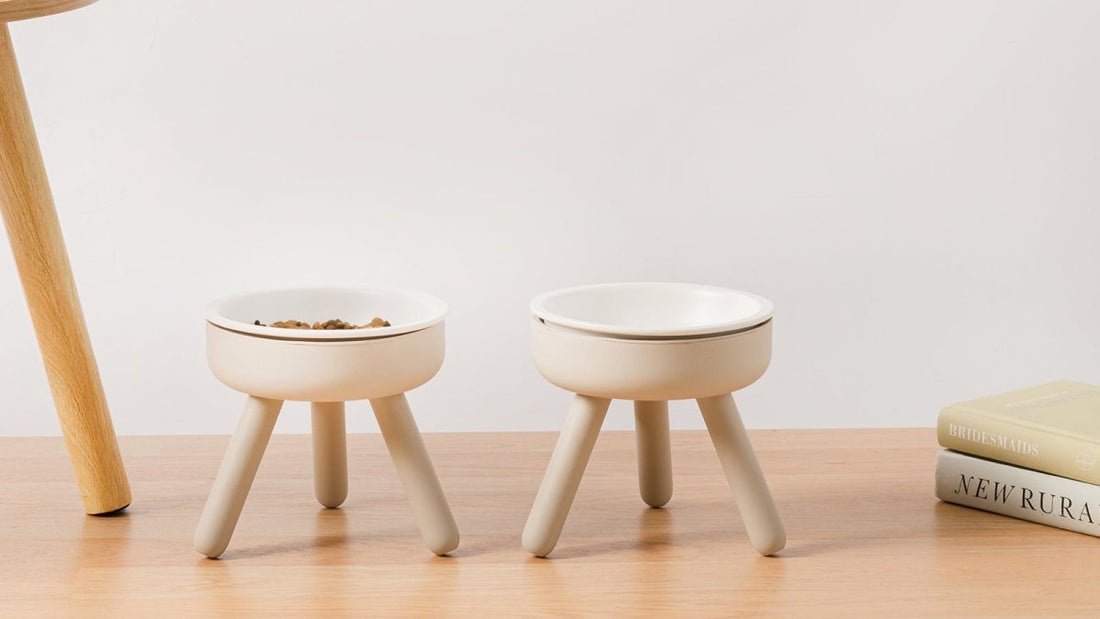 the minimal pet feeder stand: elevating simplicity and style in your pet's dining experience! - catsly.co