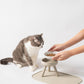 ergonomic cat feeder set with cat