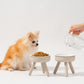 pomeranian with feeding table