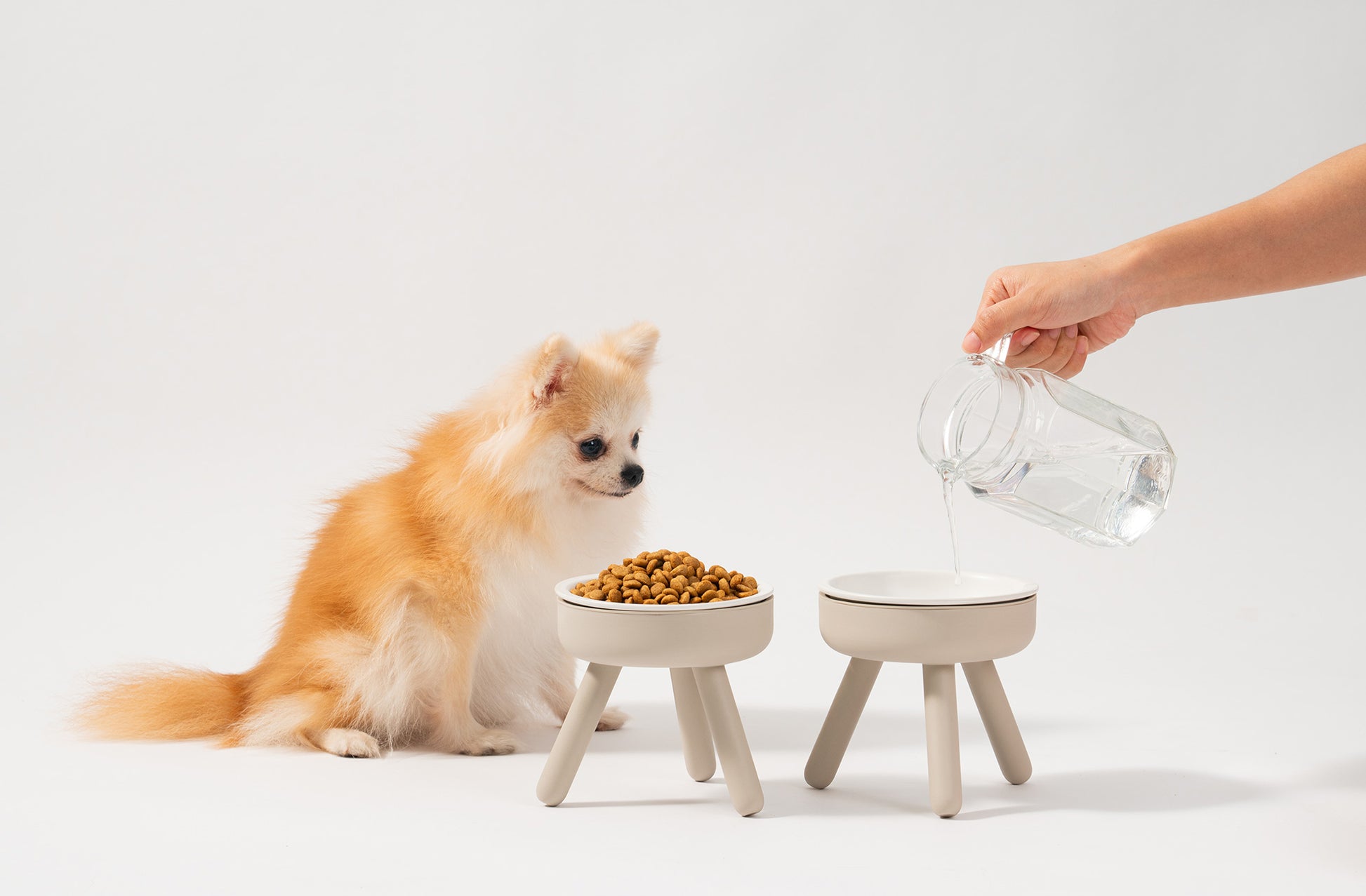 cat feeder table with porcelain bowl set –