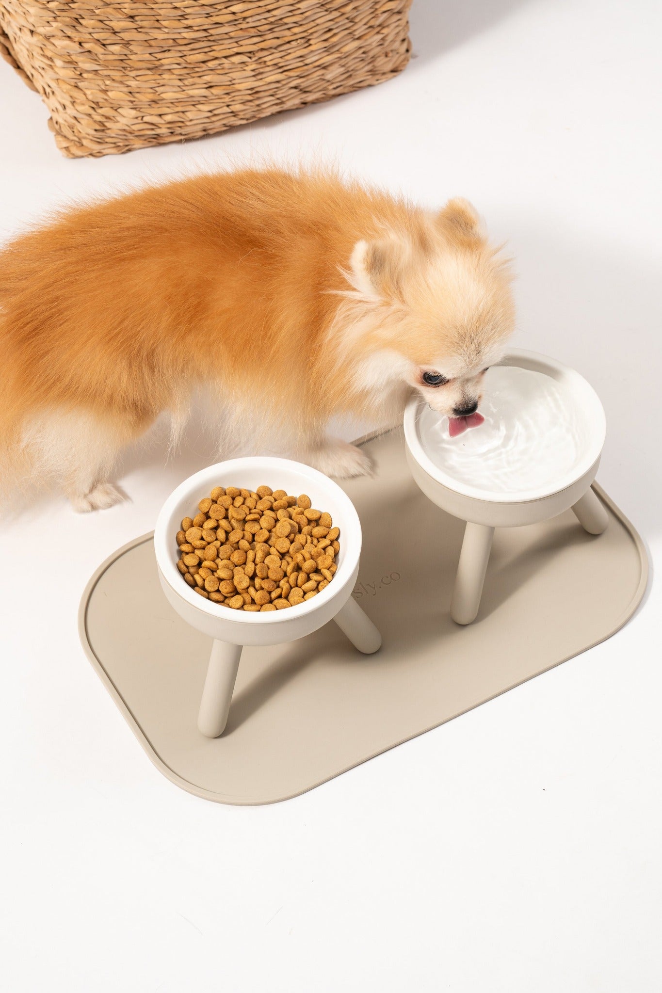 small dog dining table