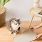 fat cat with pet feeder set