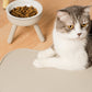 happy cat with pet feeder set